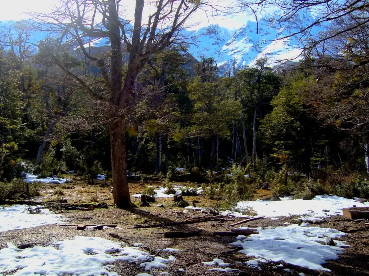 Parcelas De 2,9 A 10 Ha En Futaleufú — foto 3 de 4