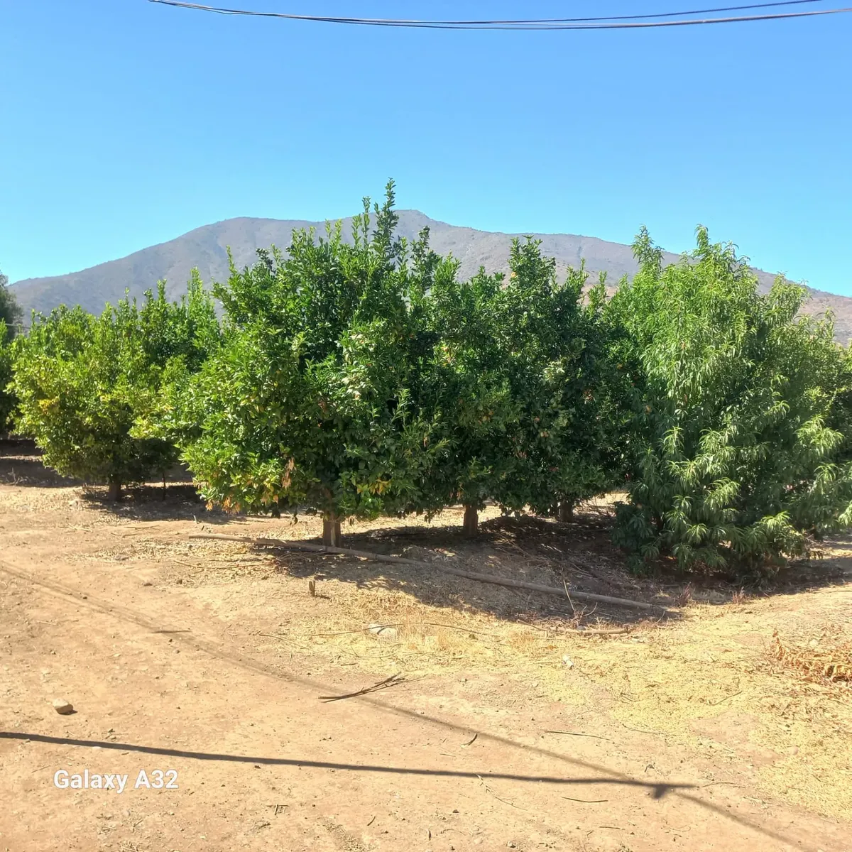 Se Vende Exclusiva Parcela En Olmué — foto 4 de 28