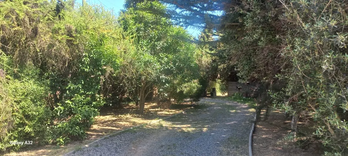Se Vende Acogedora Parcela En Casablanca — foto 7 de 23