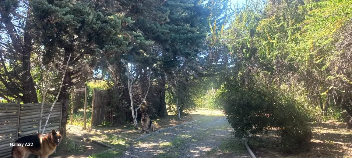 Se Vende Acogedora Parcela En Casablanca — foto 11 de 23