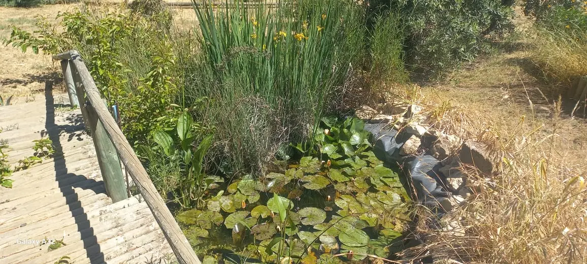 Se Vende Acogedora Parcela En Casablanca — foto 19 de 23