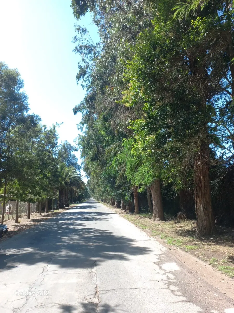 Se Vende Exclusiva Parcela Con 2 Casas En Padre Hurtado — foto 13 de 30