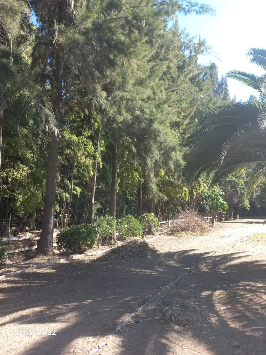 Se Vende Exclusiva Parcela Con 2 Casas En Padre Hurtado — foto 23 de 30