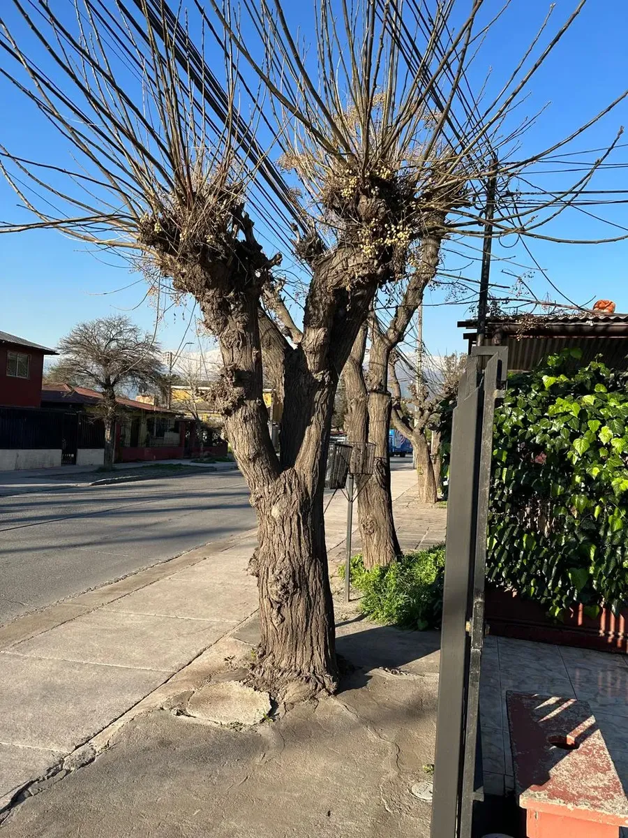 Se Vende Casa En La Florida — foto 20 de 21