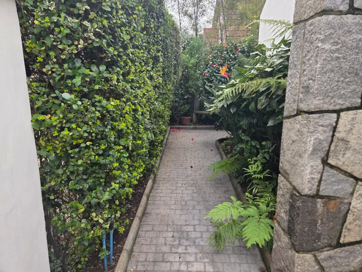 Se Vende Casa En Cerro Castillo — foto 18 de 28