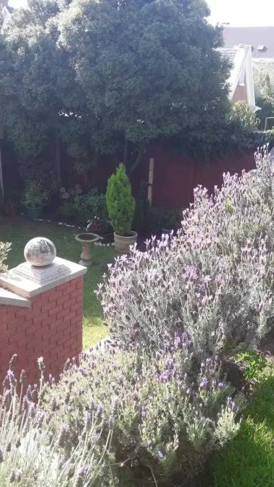 Casa En Venta En Bosques De Montemar — foto 8 de 11